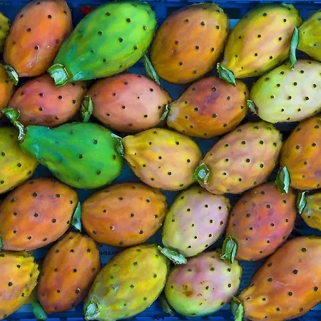 Apartment Vento Di Scirocco Marsala