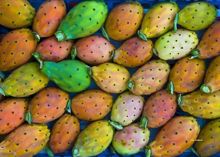 Apartamento Vento Di Scirocco Marsala